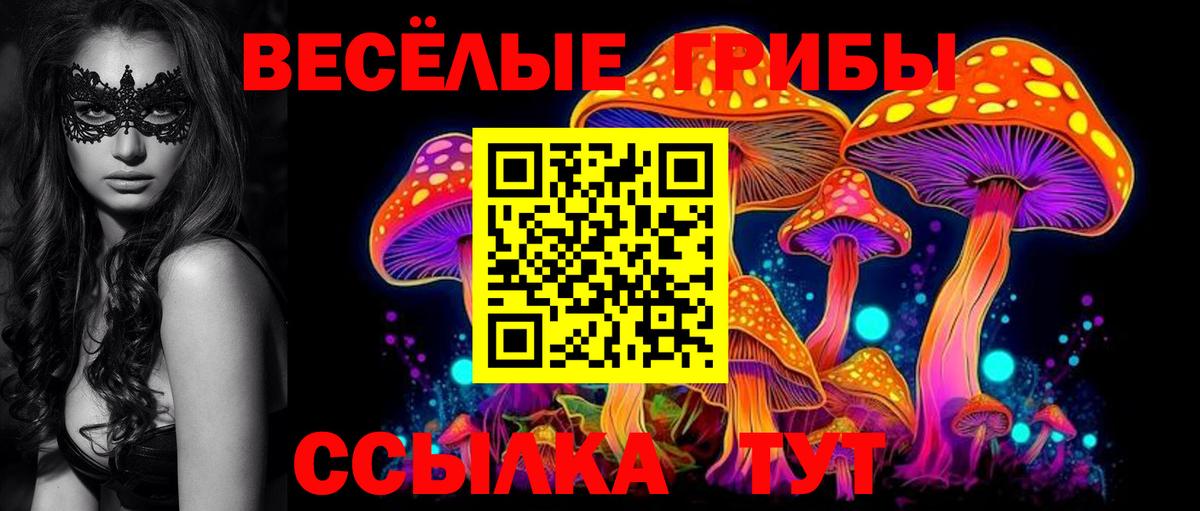 Альметьевск  дарнет шоп  Вход с VPN  Псилоцибиновые грибы ЛСД 